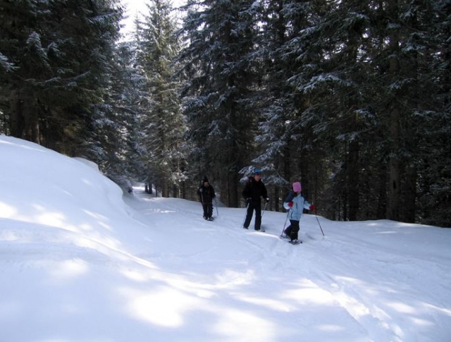  Caminando sobre la nieve 